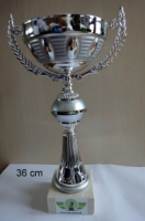 Sport pokal