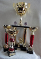 Rødovre pokal sæt